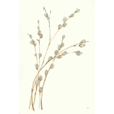 Chatte saule II