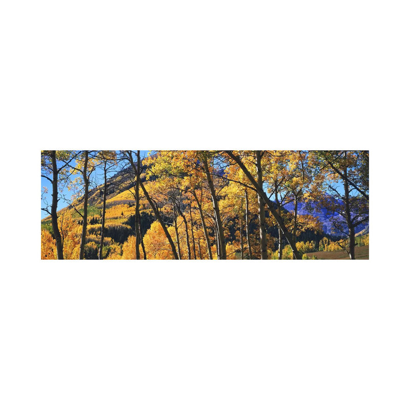 Aspen Trees In Autumn With Mountain In The Background, Maroon Bells, Elk Mountains, Pitkin County, Colorado, USA - Wrapped Canvas Panoramic Print
