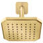Belshire Showerhead, Pn-60946092