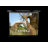 Elite Screens Electric Projector Screen Projector Screen-94194408