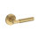 Riddling Half Dummy Lever with Contemporary Round Rose in Unlacquered Brass