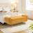 Shaneta 57"W Upholstered Storage Bench with Arms-1647678416