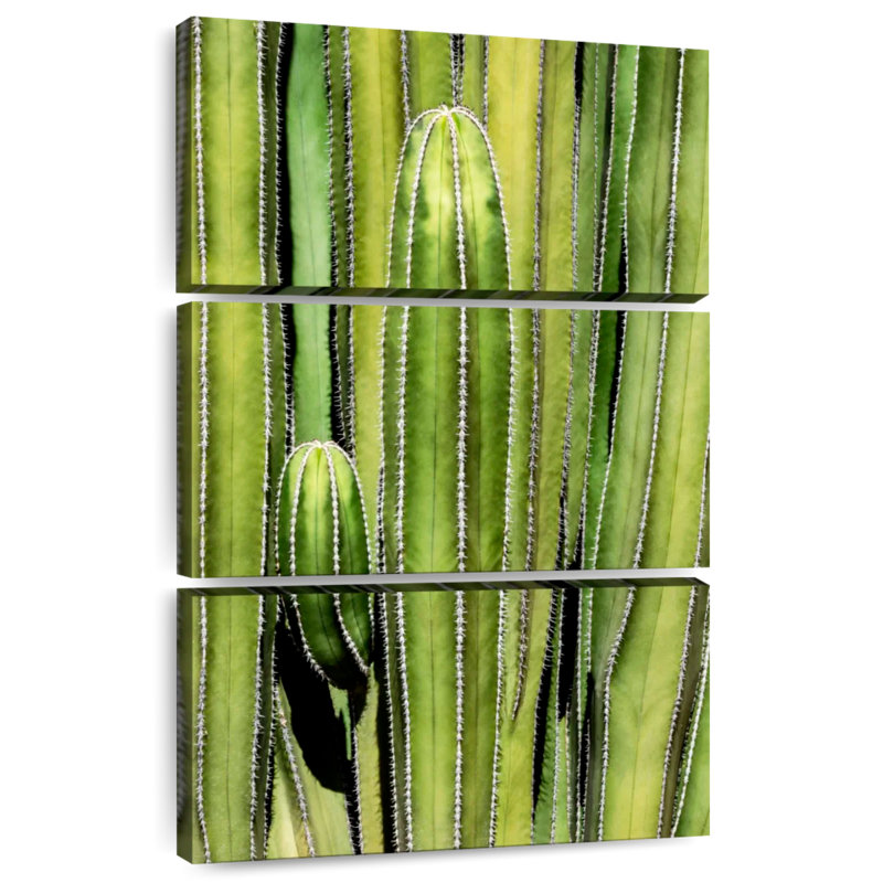 Harnek Cactus Overlay, 32" H x 20" W