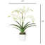 Polysilk Orchid Arrangement In Pot-2030385136-2030385137