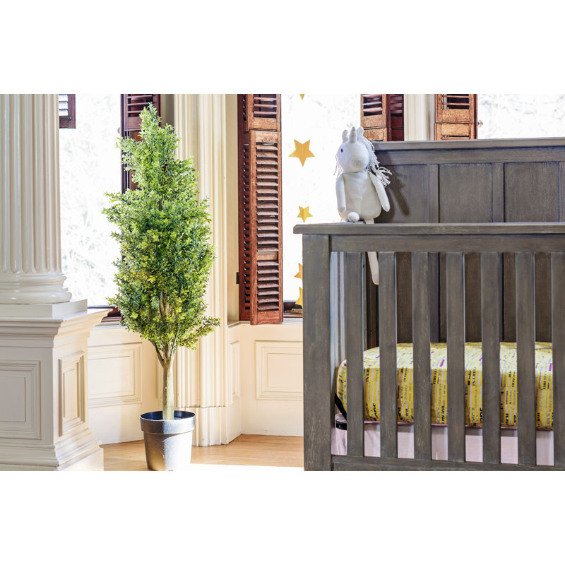 Crib, Fossil