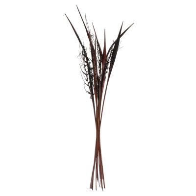 36" Bahia Spears Seeded, 9 stems, Dried