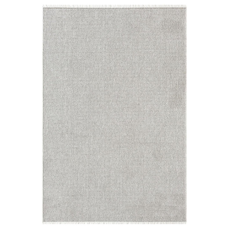 Textured Fringed Area Rug