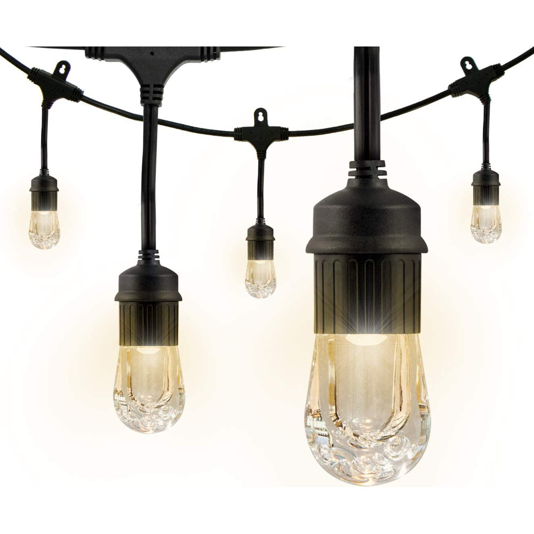 Classic Outdoor 24 - Bulb 48'' Plug-in LED String Light Enbrighten