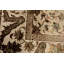 Oriental Area Rug