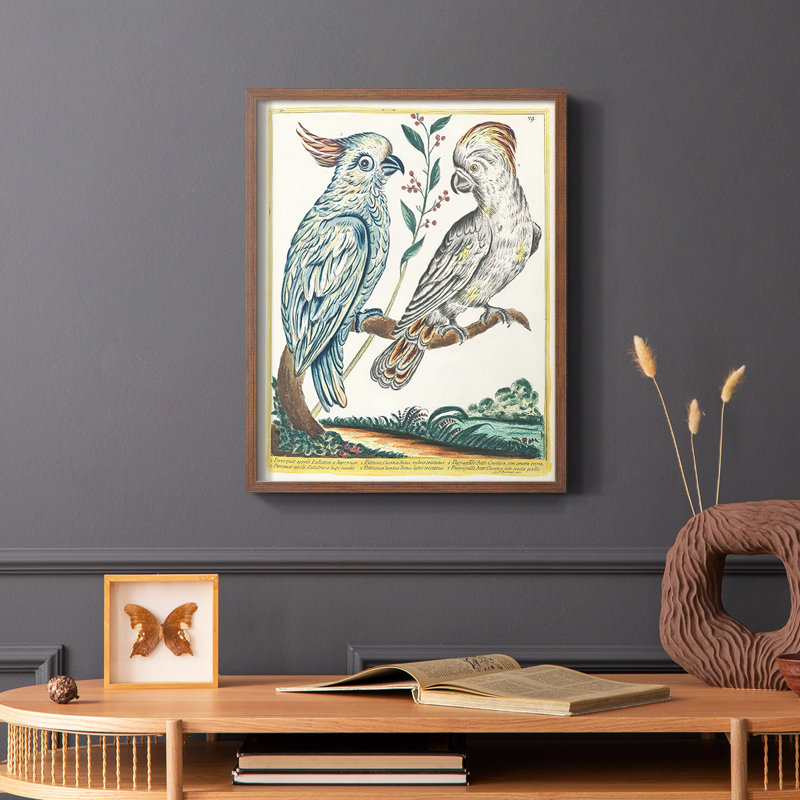 «Pastel Birds I», reproduction encadrée - bois massif, Cadre photo brun simple, H 14 po x l 11 po