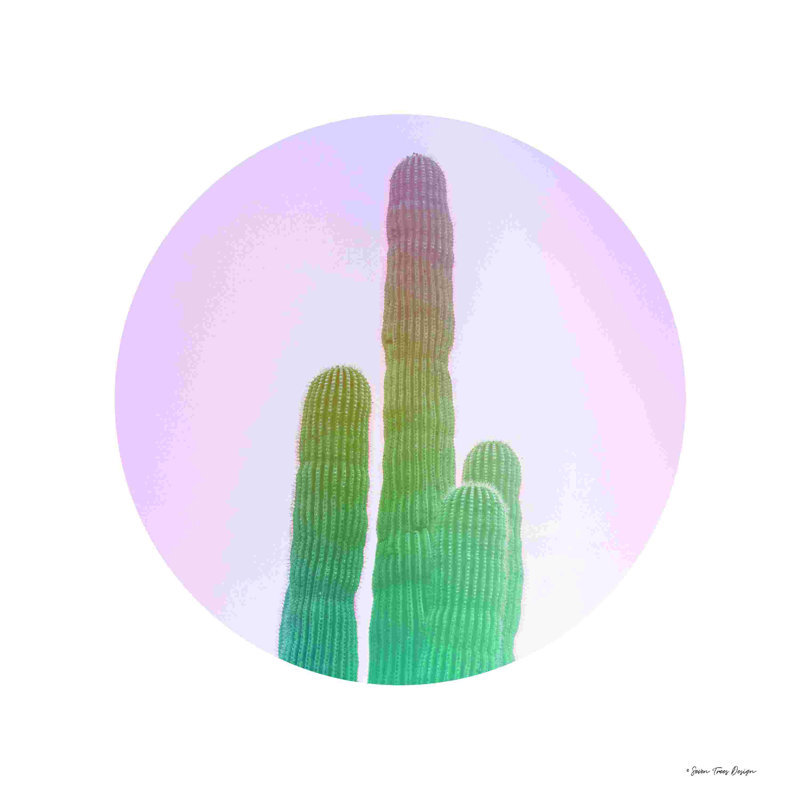 Cactus circulaires, H 30 po x l 30 po, Oui, Papier avec cadre photo noyer