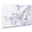 Branch Of A White Magnolia Tree In Abstract - Wrapped Canvas Print-55316973