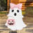 S/2 28"H Halloween Metal Ghosts Yard Stake(KD)