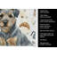 Serviette de cuisine Coffee Bar-1234934593