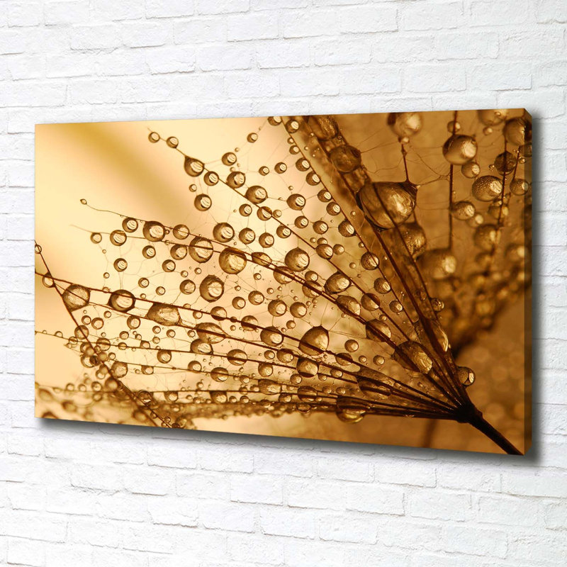 Dandelion Seeds - Wrapped Canvas Print