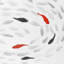Natation, tourbillon de poissons