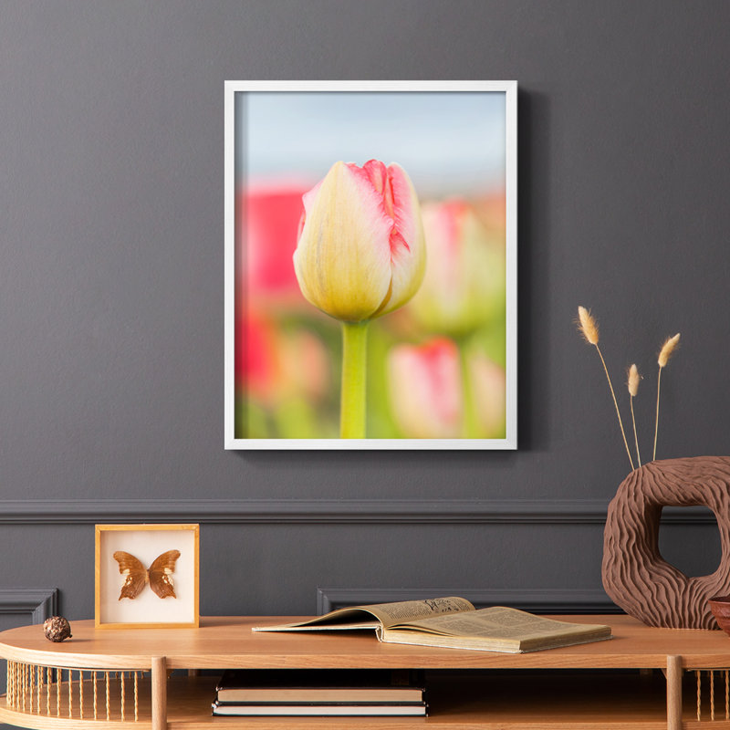 «Twotone Tulip», reproduction encadrée - bois massif, Noir, H 10 po x l 8 po