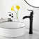 Vessel Sink Faucet Single-handle Bathroom Faucet with Drain Assembly