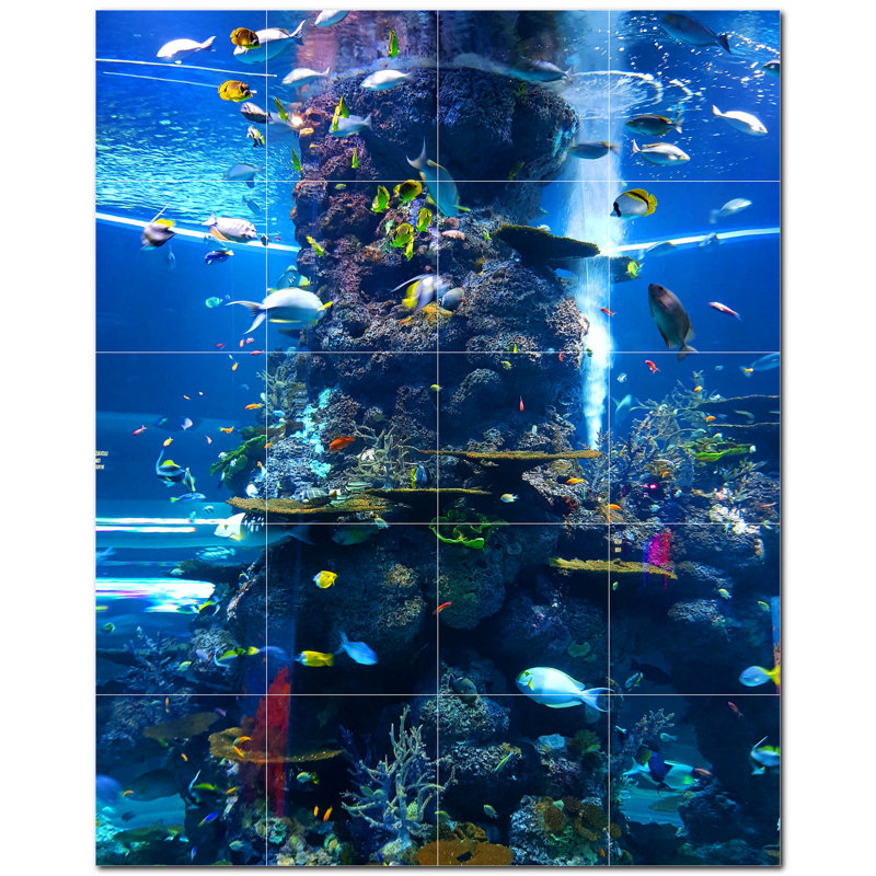 Corail photo 12 x 12