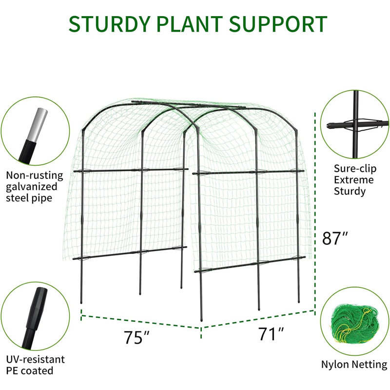 Tall Garden Arch Trellis For Climbing Plants, Large Grape Vine Support Arch Arbour Trellis