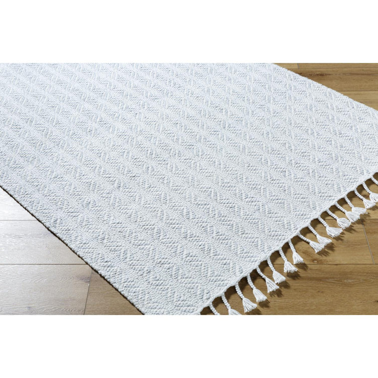 Bhaktivinod Hand Woven Area Rug