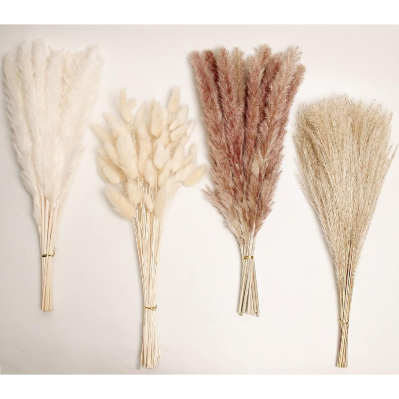 17.72'' Faux Pampas Grass Grass