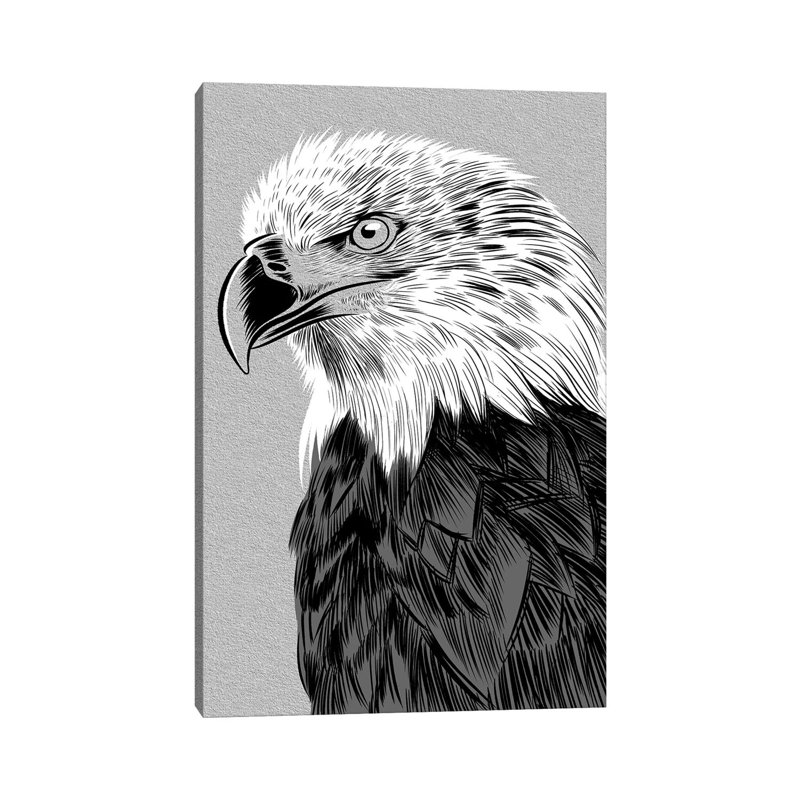 Eagle Sketch by Alberto Perez - Wrapped Canvas Print, 20.32 cm H x 30.48 cm W