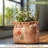 Cazeau Pot Planter