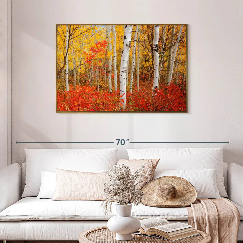 Bouleaux d'automne, Cadre flottant doré, 43 po x 29 po