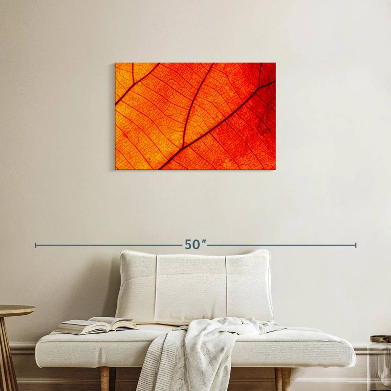 Harnek Autumn Leaf Venation