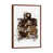 Brown Framed