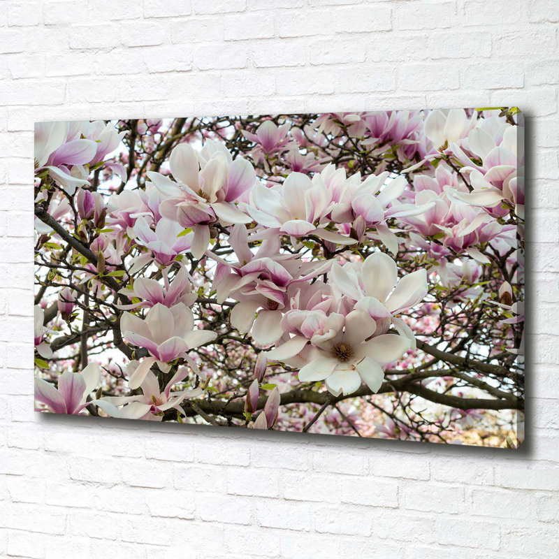 Magnolia Flowers - Wrapped Canvas Print