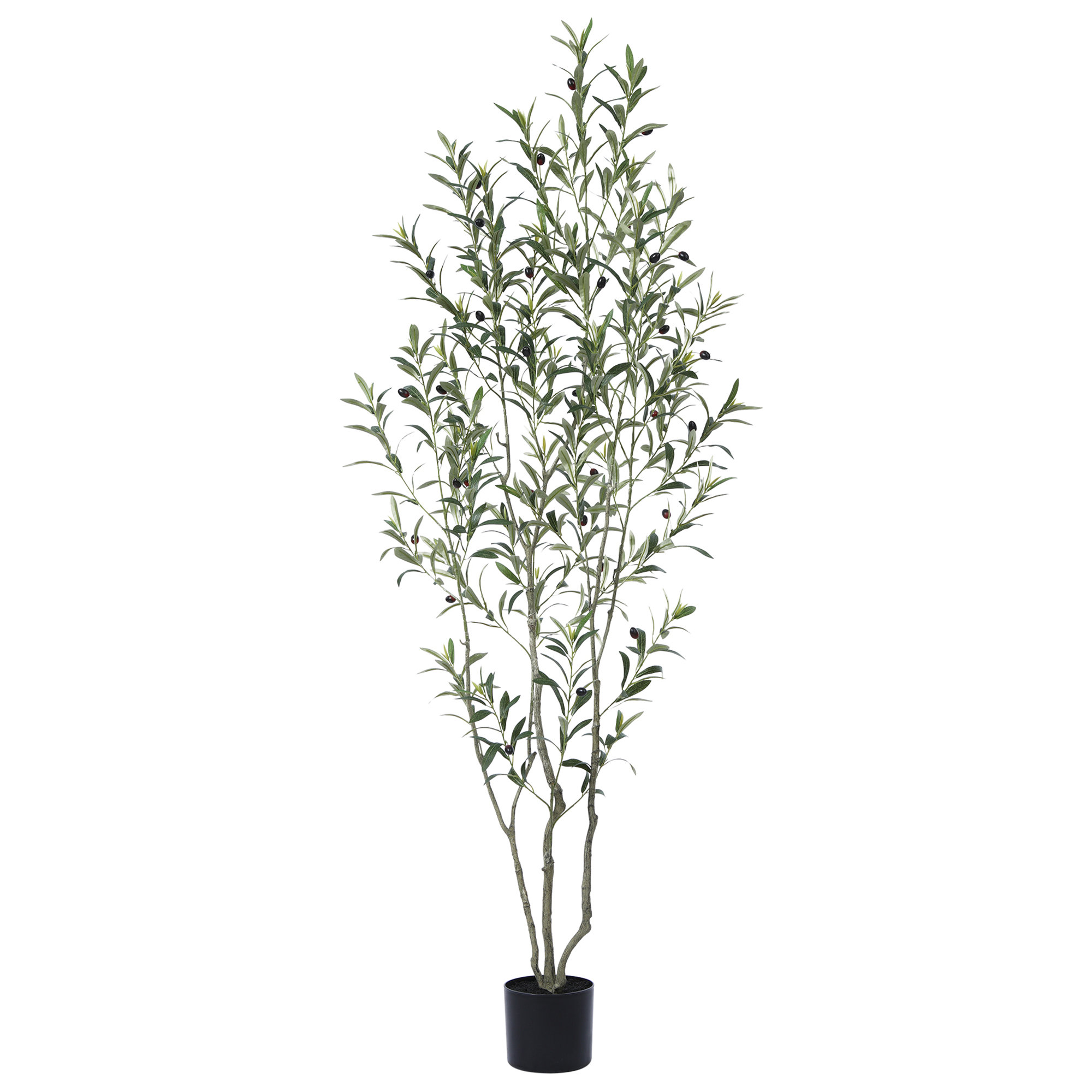 Adcock Artificial Plastic Olive Tree in Pot, Pre Potted Faux Greenry Olive Plant for Home Decor, 72" H x 24" W x 24" D