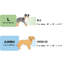 Lit pour chien doux et confortable pour les chiens grands et surdimensionnés, canapé-lit pour chien surélevé durable, canapé pour chien confortable, canapé pour chien en lin moderne et tendance-133604755-133604757