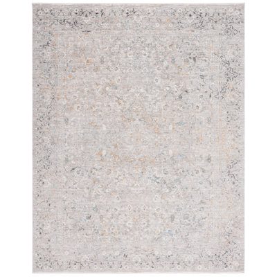 Oriental Area Rug in Gray/Gold