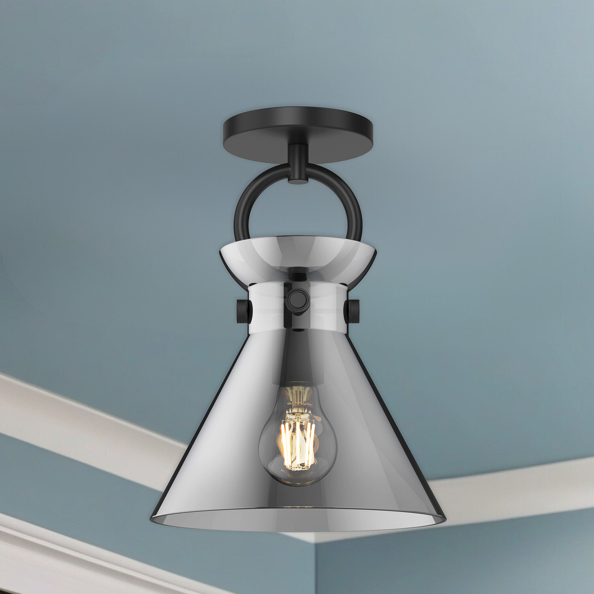 Tiney Single Light Glass Semi Flush Mount, Smoked, Matte Black