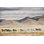 «Horse Run II» par PHBurchett - reproduction d'art sur toile tendue