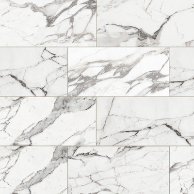 Virtue 12X24 Polished Argente