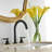 2-handle Bathroom Faucet with Drain Assembly