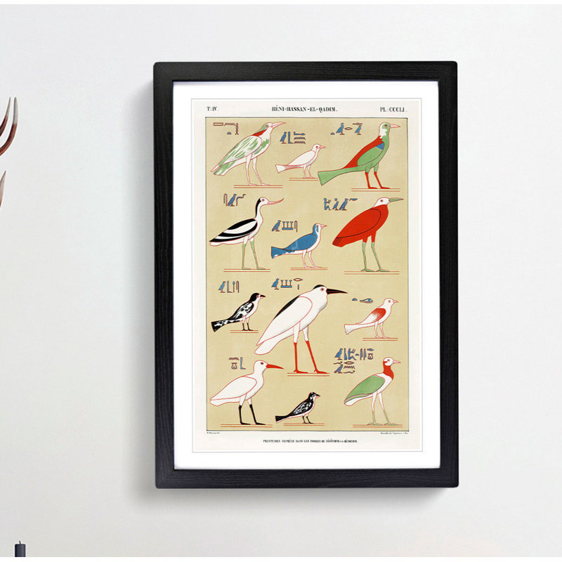 Illustrations of Birds by J.F. Champollion - Framed Print, Black, 76cm H x 50cm W x 2cm D