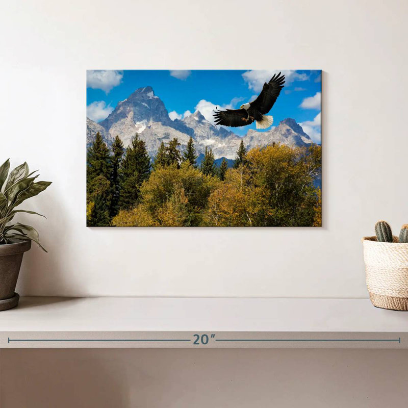 Grand Teton Eagle, 8" H x 12" W