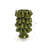 Green Modern Pears 12.4-Inch Tall Vase