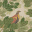 Covey Hedge Fabric-2123835413