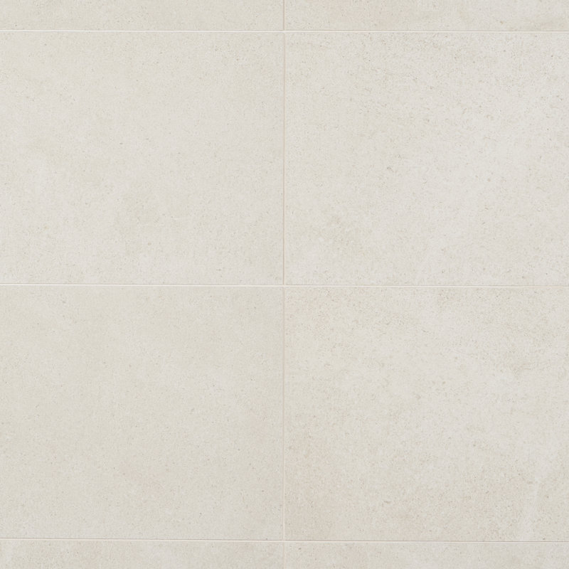 Carreau de porcelaine 12 po x 24 po Roosevelt, Lac