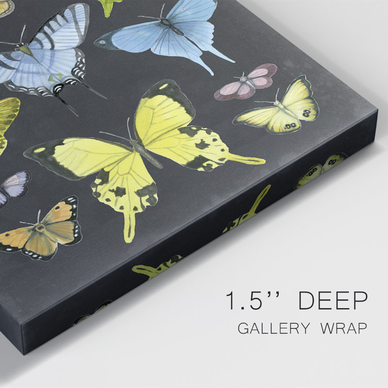 «Butterfly Taxonomie I», impression sur toile tendue, H 18 po x l 12 po x P 1 po