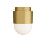 Allentown 1 - Light Flush Mount