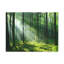 No Frame Print on Canvas