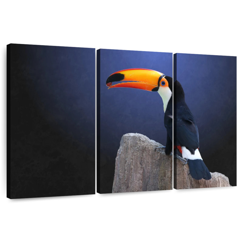 Toucan With Grape, 20" H x 33" W