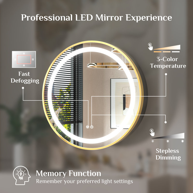Gervon Lighted Surface Framed Round Medicine Cabinet Mirror Adjustable Shelf & AC Outlets, 24" H x 24" W x 4.7" D, Gold