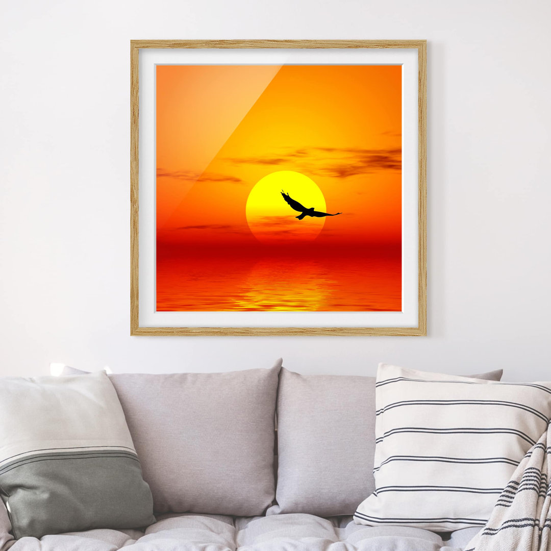 Gerahmtes Poster Golden Sunset